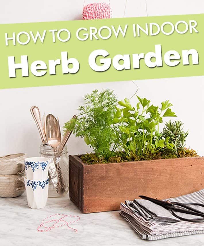 How To Grow Indoor Herb Garden – Kitchen Garden Planter