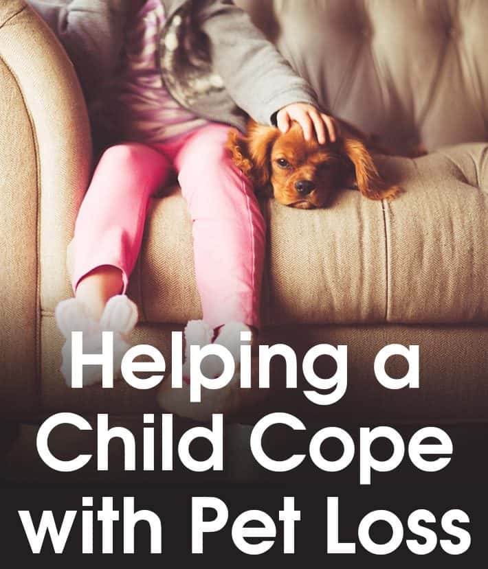Helping a Child Cope With Pet Loss