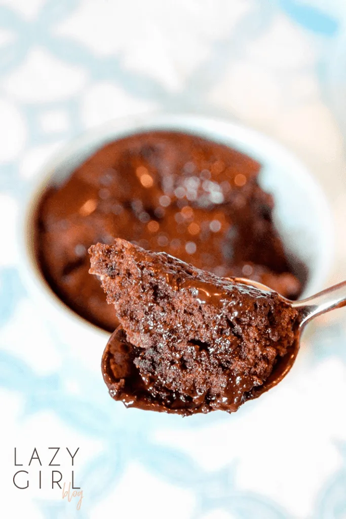 best 1 minute keto mug brownie.