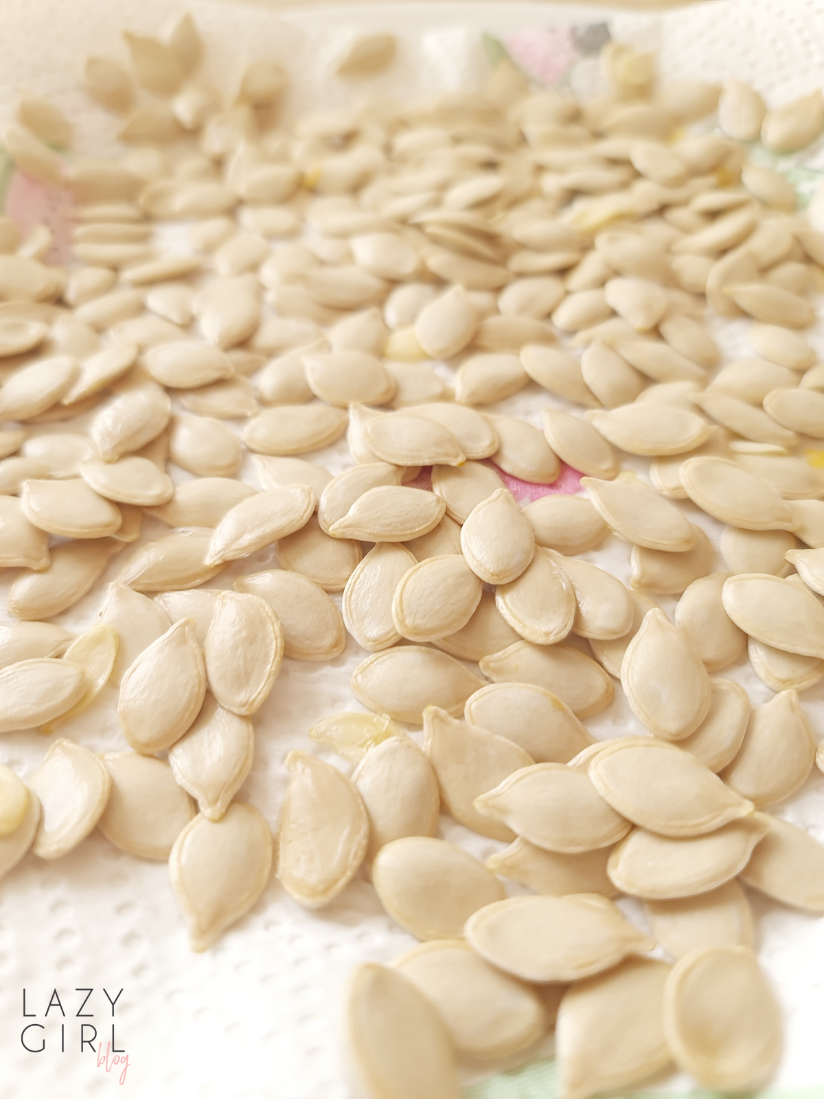 Pumpkin Seeds raw